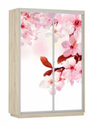 Шкаф-купе двухдверный Экспресс Дуо 1600х2400h Сакура/Дуб сонома