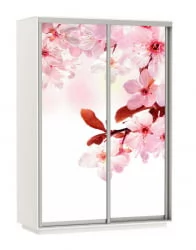 Шкаф-купе двухдверный Экспресс Дуо 1600х2200h Сакура/Белый снег