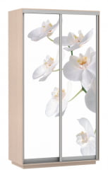 Шкаф-купе с фотопечатью Экспресс Дуо 1200х2400h Орхидея белая/Дуб молочный