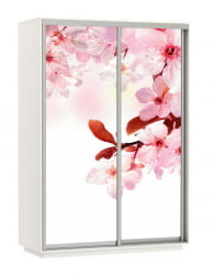 Шкаф-купе двухдверный Экспресс Дуо 1600х2400h Сакура/Белый снег
