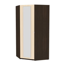 Шкаф распашный YR-198х1034-TR-M(Венге-ДМ-1)