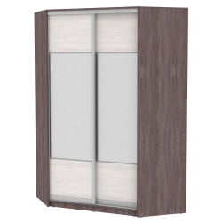 Шкаф-купе YA-230х1400-568-2(ЯАТ-ЯАС-D3D3)