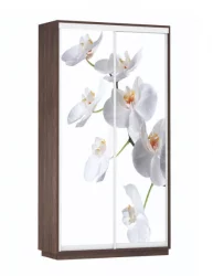 Шкаф-купе со стеклом Экспресс Дуо 1200х2400h Орхидея белая/Венге
