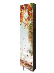 Шкаф с зеркалом Драйв Шелф Арт (левый) Беленый дуб