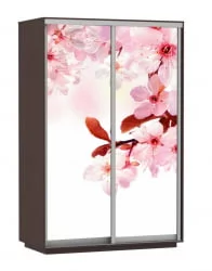 Шкаф-купе двухдверный Экспресс Дуо 1400х2400h Сакура/Венге