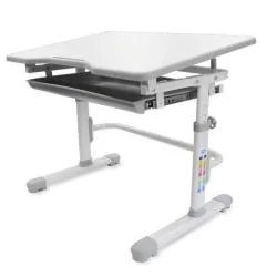 Комплект парта и стул с чехлом RIFFORMA SET-10 Белый Серый