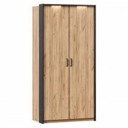 Шкаф двухстворчатый с паспарту Техно 03 Дуб Золотой