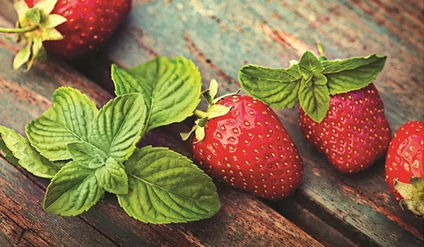 Стол обеденный Европейский фп Клубника ЛДСП венге_1