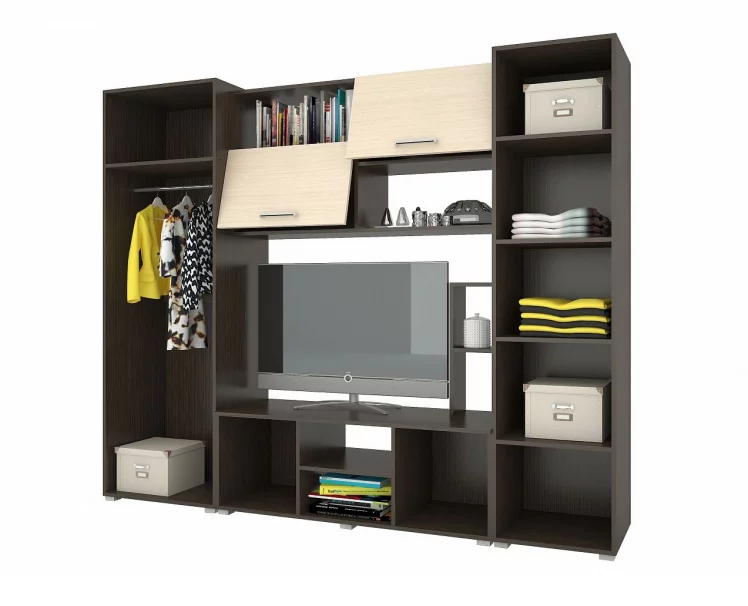 Гостиная Флора 2 Венге Дуб_1