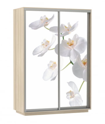 Шкаф-купе двухдверный Экспресс Дуо 1400х2200h Белая орхидея/Ясень шимо светлый_0