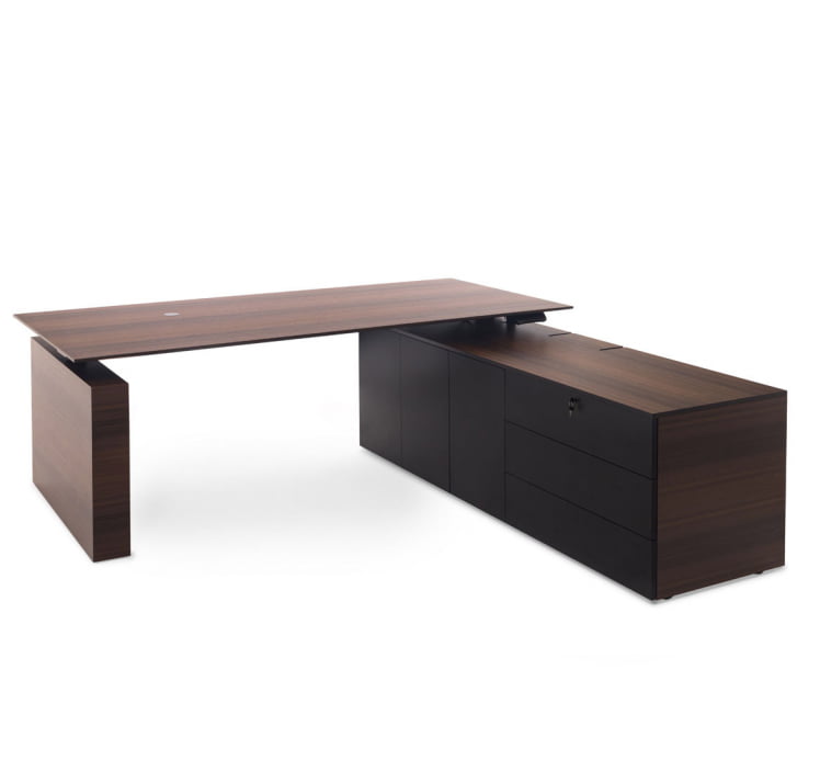 TESLA Стол письм. с тумбой DX ЭВКАЛИПТ МОРЕН/ЧЕРН 110 102 ECL BL_0