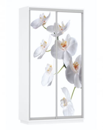 Шкаф-купе двухдверный Экспресс Дуо 1200х2200h Орхидея белая/Белый снег_0