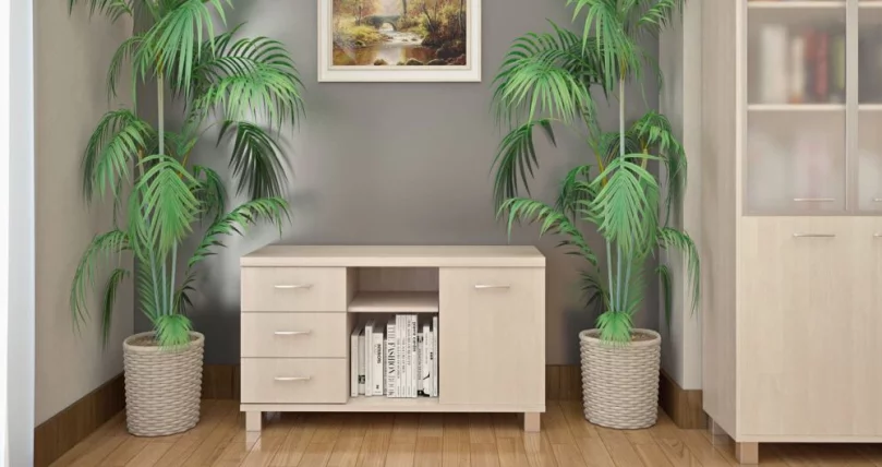 Кабинет Фирст №5 / First_2