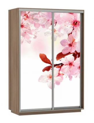 Шкаф-купе двухдверный Экспресс Дуо 1400х2400h Сакура/Ясень шимо тёмный_0