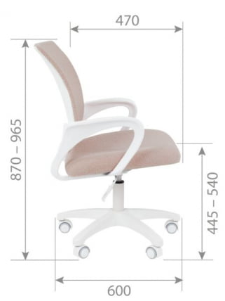 Детское кресло CHAIRMAN KIDS 103 LT Зефир_15