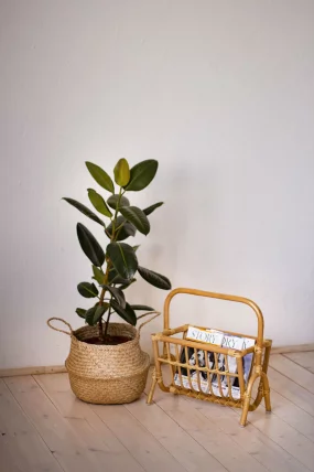 Газетница 17/13 темно коричневый_1