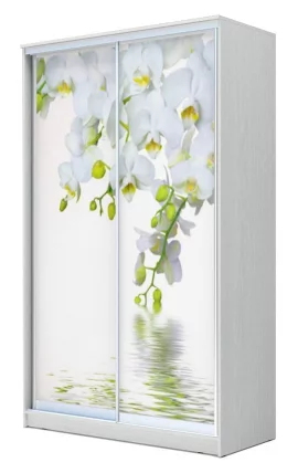 Шкаф-купе Хит-24-17-77 Орхидея Белая шагрень_0