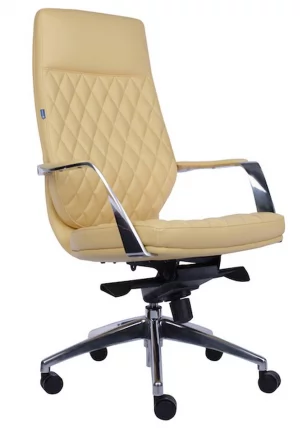 Кресло для руководителя Everprof Roma Экокожа Бежевый_0