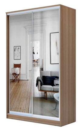 Шкаф-купе Хит-23-14-55 Ясень шимо темный_0