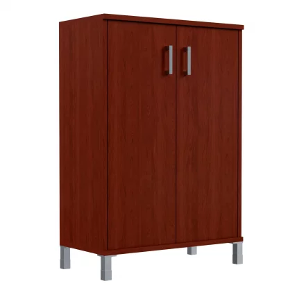 Стеллаж с дверью ДСП В420.6 Бургунди_0