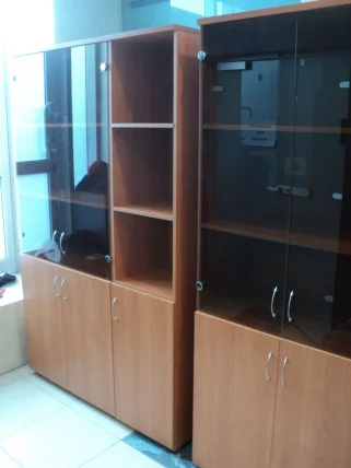 Шкаф для документов с тонированным стеклом Р.Ш-2СТ вишня Оксфорд_2