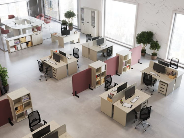 Гардероб New Line NLN36350421 Дуб шамони светлый_1