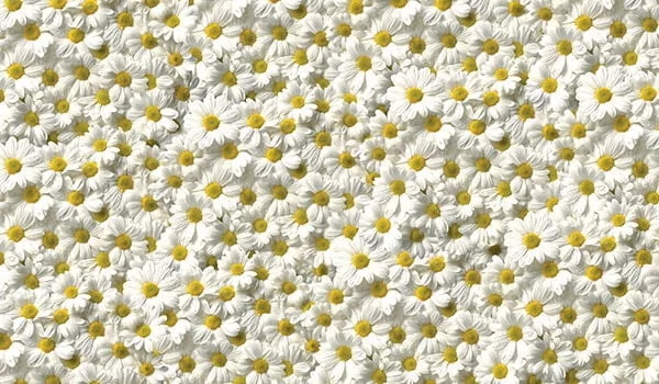 Табурет фп Ромашки Д006 КОМПЛЕКТ 2 шт._2