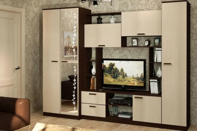 Гостиная Флора Ясень Шимо тёмный светлый_0