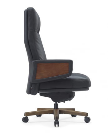 Кресло Rafael A2119 Черный_1