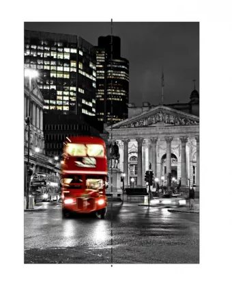 Шкаф-купе двухдверный Экспресс Хит Лондон/Дуб сонома_2