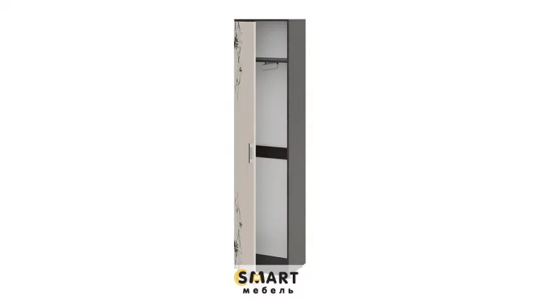 Шкаф тип 1 Витра Венге Цаво Дуб Белфорт с рисунком_2