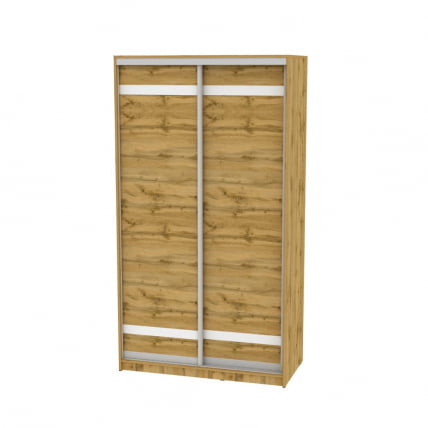 Шкаф-купе B-230х120х60-1(ДВ-D9D9)_0