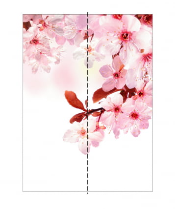 Шкаф-купе двухдверный Экспресс Хит Сакура/Шимо светлый_2