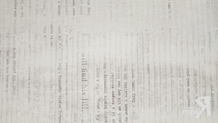 Панель пристенная 6х600х3000 Одри ПП6_60-301 Daily_0