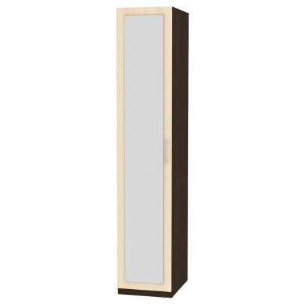 Шкаф распашный R-230х45х45-2-M(Венге-ДМ)_0