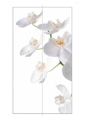 Шкаф-купе двухдверный Экспресс Дуо 1200х2200h Орхидея белая/Ясень шимо тёмный_2