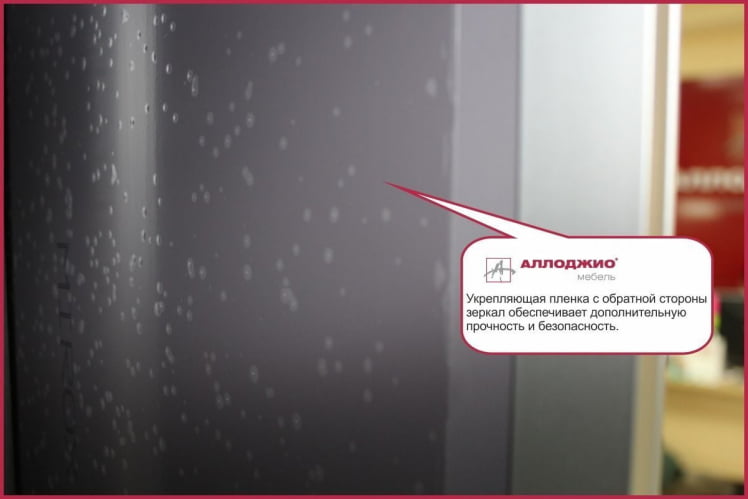 Шкаф-купе Хит-23-12-55 Ясень шимо темный_3