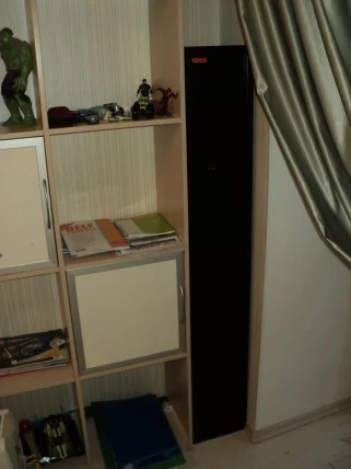 Шкаф оружейный КО-036т_2