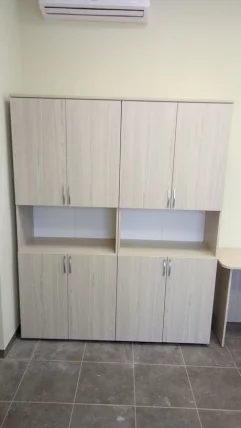 Шкаф высокий закрытый с нишей Glassy 6.19.111 Туя_2