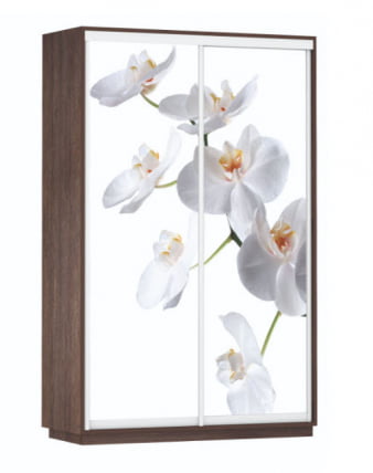 Шкаф-купе двухдверный Экспресс Дуо 1400х2200h Белая орхидея/Венге_0