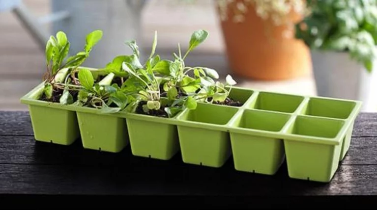 Грядка для растений URBAN BLOOMER_4