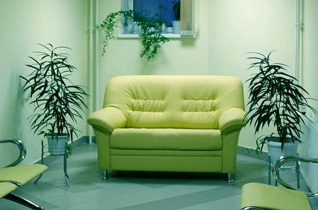 Диван Карелия 2х местный (Терра 108)_2