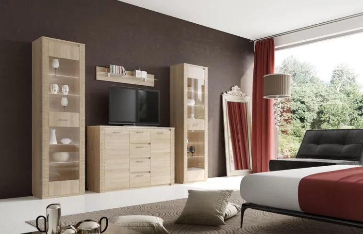 Гостиная Элана