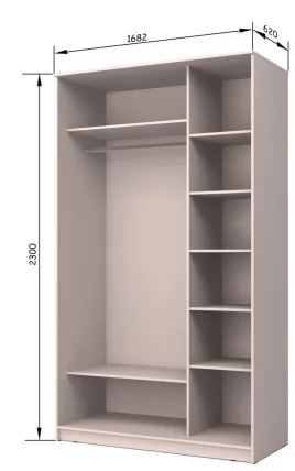 Шкаф-купе Хит-23-17-55 Аруба Венге_3