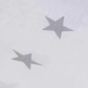 Комплект постельного белья детский серые звезды на белом_1