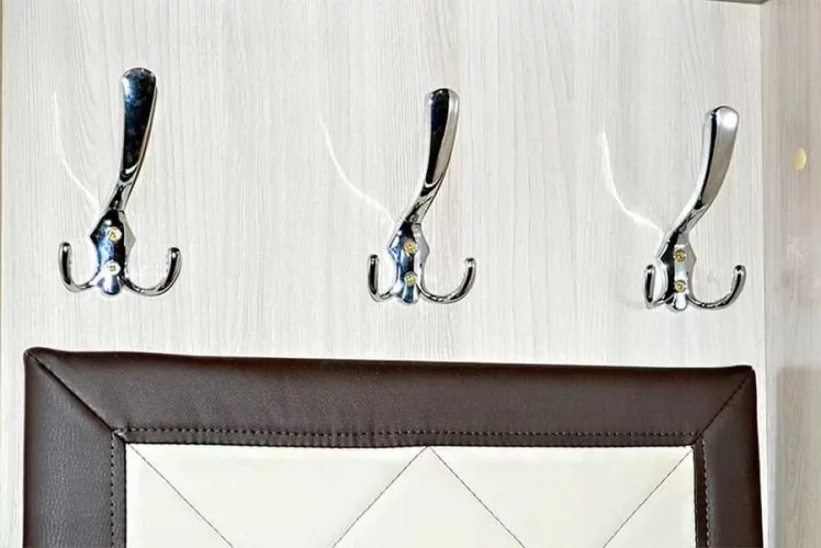 Прихожая Ольга 4 Ясень шимо светлый Венге_4