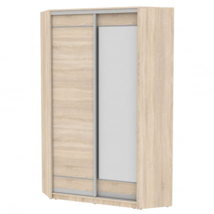 Шкаф-купе YA-230х1250-1(ДСС-D1D2)_0