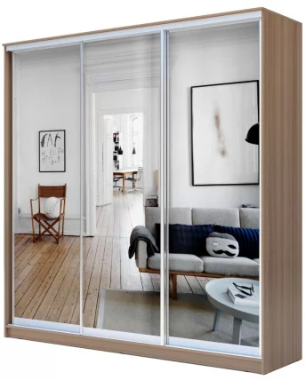 Шкаф-купе Хит-24-20-555 Ясень шимо темный_0