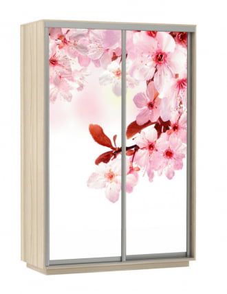 Шкаф-купе двухдверный Экспресс Дуо 1400х2400h Сакура/Ясень шимо светлый_0